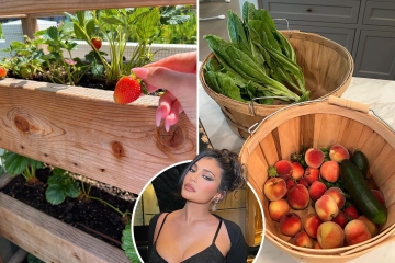 Kylie Jenner shows off her massive garden in stunning yard at $36M LA mansion